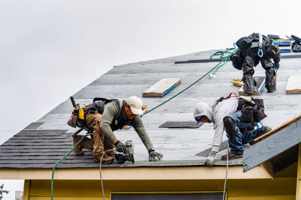 Professional Gutter Installation technician working in Allen Park, MI